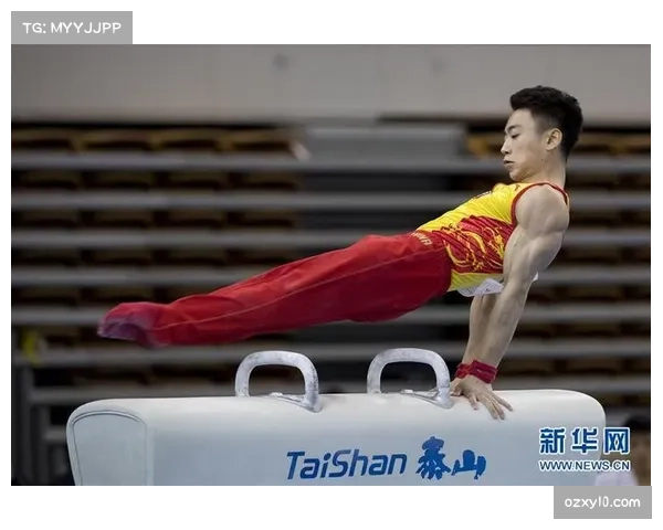 邹敬园体操男子鞍马决赛获季军 四川老将全运会征程再添荣誉
